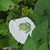 Sandra Ophus's profile image