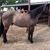 Jody Strub's profile image