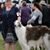 Michelle Paulin's profile image