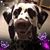 Shannon O'Really's profile image