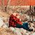 Heather Fry Pate's profile image