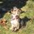 Jeanette Furfaro Lister's profile image