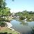 JoAnne Ricci-Ciway's profile image