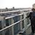 Kathleen Weiser's profile image