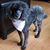 Wendy Lawe's profile image