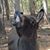 Kristie Norred Hart's profile image
