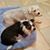 Jo Ann Crago Delles's profile image