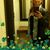 Amy Estelow's profile image