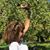 Marylou DeMartini's profile image