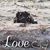 Terri N Mark Lesage's profile image