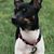Terri-Lynn Krol's profile image