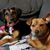 Helen Bergeron Fikes's profile image