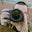Joseph Hartmann's profile image