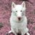 Judy Rodriguez's profile image