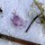 Edie Dean's profile image