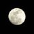 Theresa Hall Kues's profile image