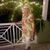 Sandy Montgomery's profile image