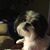 Jennifer Swift Clarke's profile image