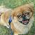 Tiffany He Haha's profile image
