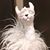 Kristina Stricker's profile image
