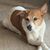 Ginny Mavredes's profile image