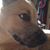 Noreen Peters Kralapp's profile image