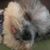 Regina Smith Baker's profile image