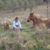Julie Stoddard Outram's profile image