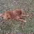 Justin Holliman's profile image