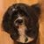 Diane Wigington's profile image