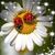 Judie Moore's profile image