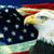 Shelley Bateman Steber's profile image