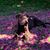 Heidi Stanhope Goodwin's profile image