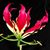 Manya Bonderov's profile image