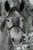 S P.'s profile image
