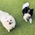 Sue Heilbrunn's profile image