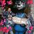 Pita Rodriguez Morales's profile image