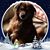 Chris Peterson's profile image