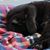 Sheila Butler-Portelli's profile image