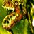 Wickie Stamps's profile image