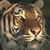 Victor Ramz's profile image