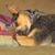 Tina Harness's profile image