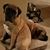 Lori Hippert's profile image