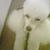 Joan L Green's profile image