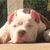 Clifton Normad's profile image