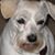 Sherry Meador's profile image