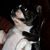 Biglilsis Vma's profile image