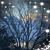 Donna M. Boshaw's profile image