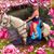 Melanie Arbogast's profile image