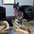 Patricia A. Grebey's profile image
